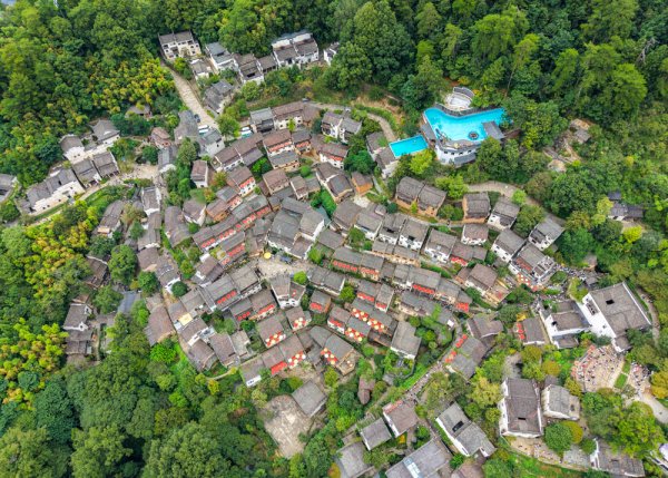 鼎盛证券 中国农民丰收节｜晒出一年好“丰”景