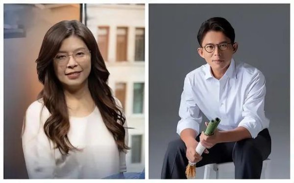 盈利网 郑丽文“蓝白合”初步构想成型？“黄金三角”2028可下架赖清德！